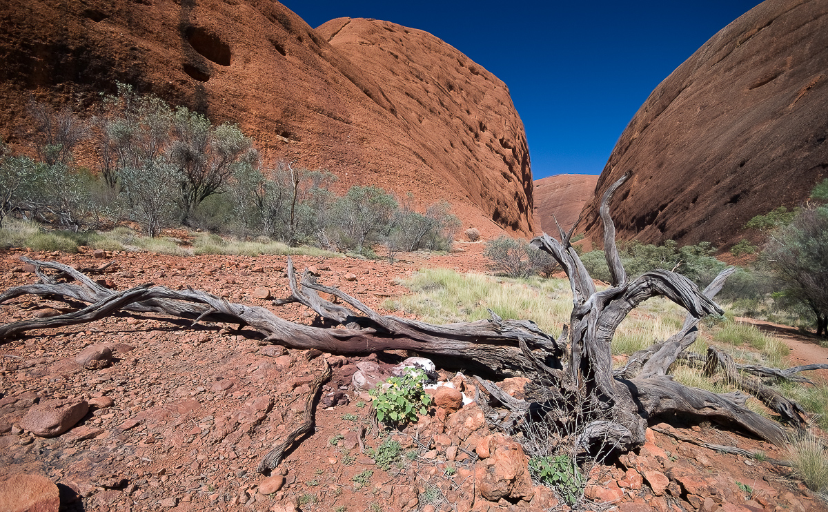 Kata Tjuta, Australia