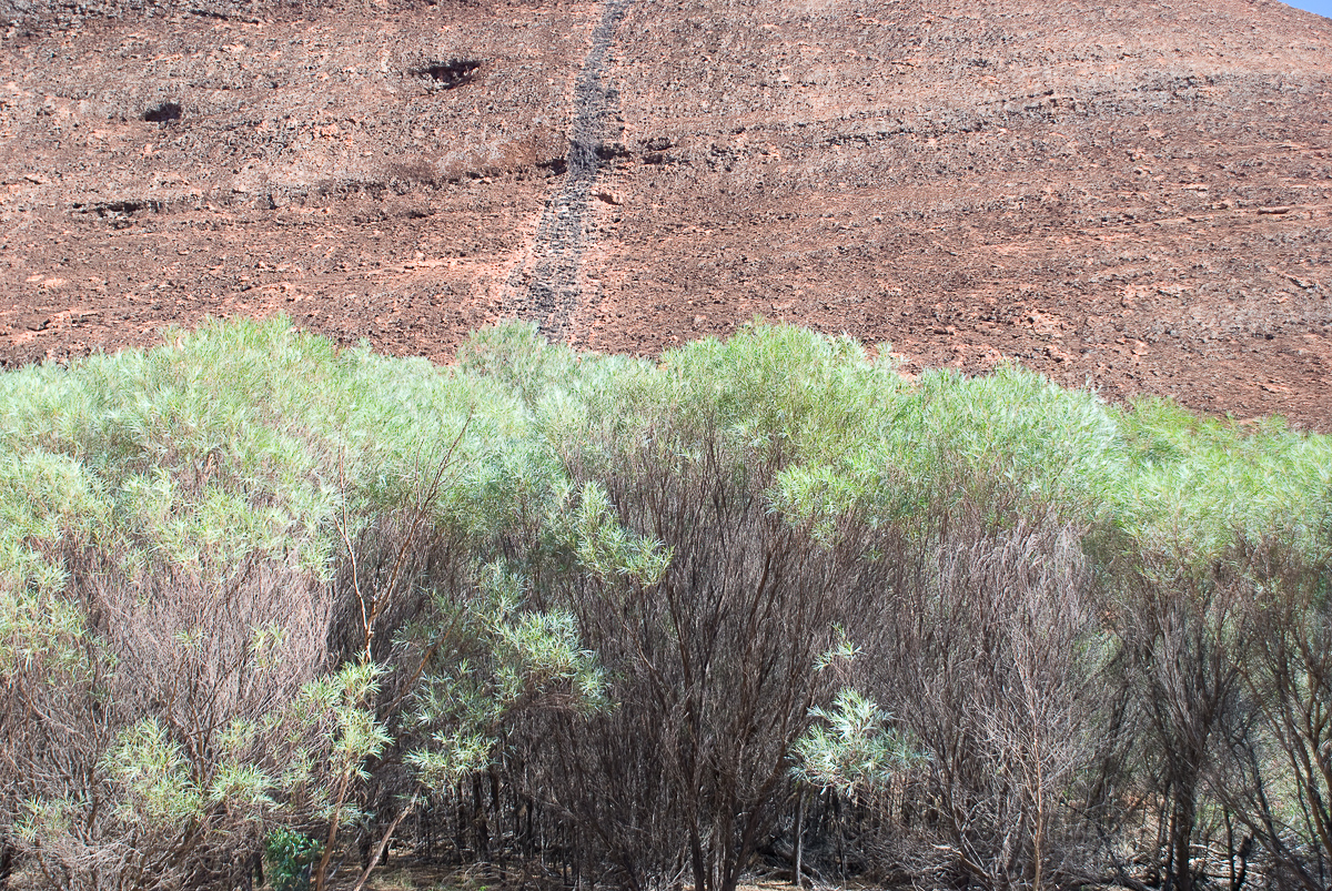 Kata Tjuta, Australia