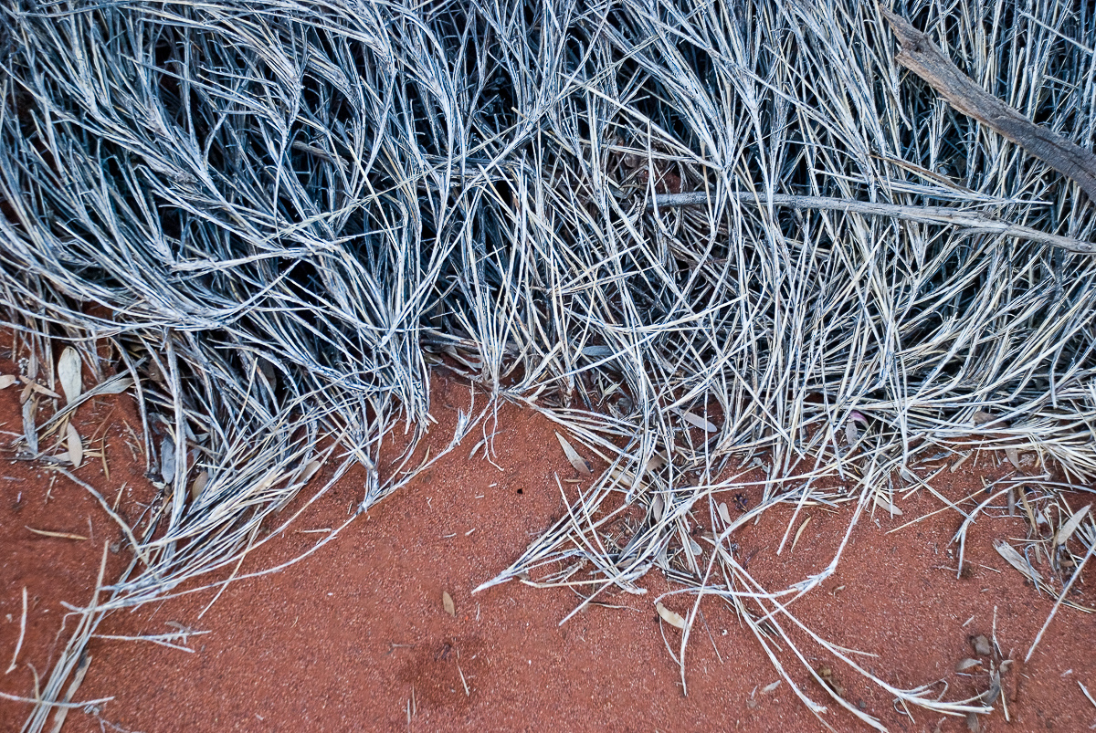 Northern Territory, Australia