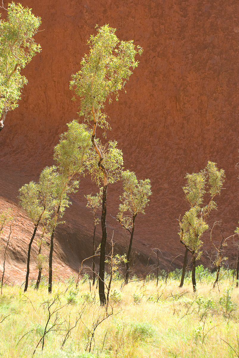 At Uluru, Australia