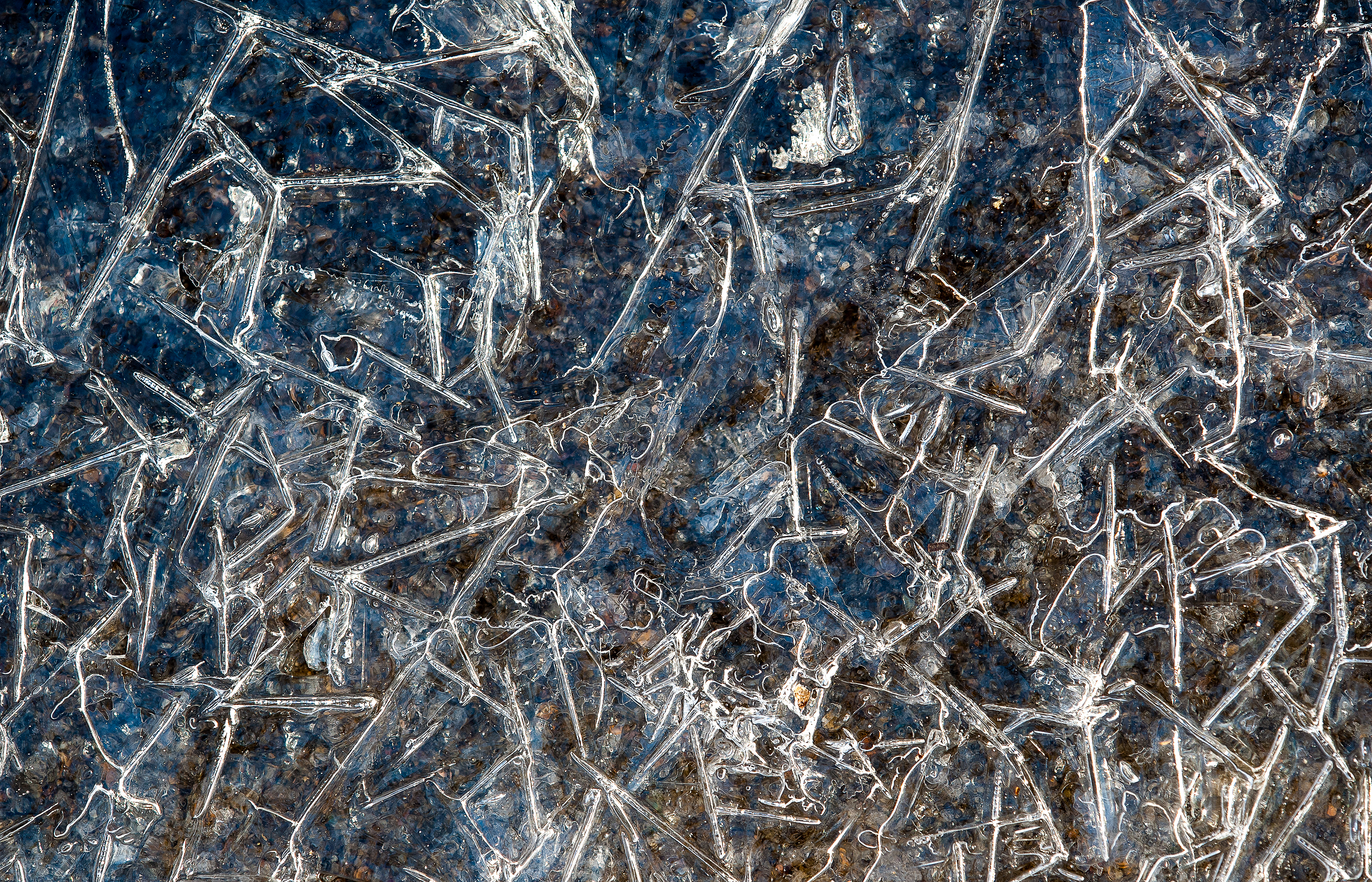 Ice crystals on asphalt, Chapel Hill, North Carolina (2011)