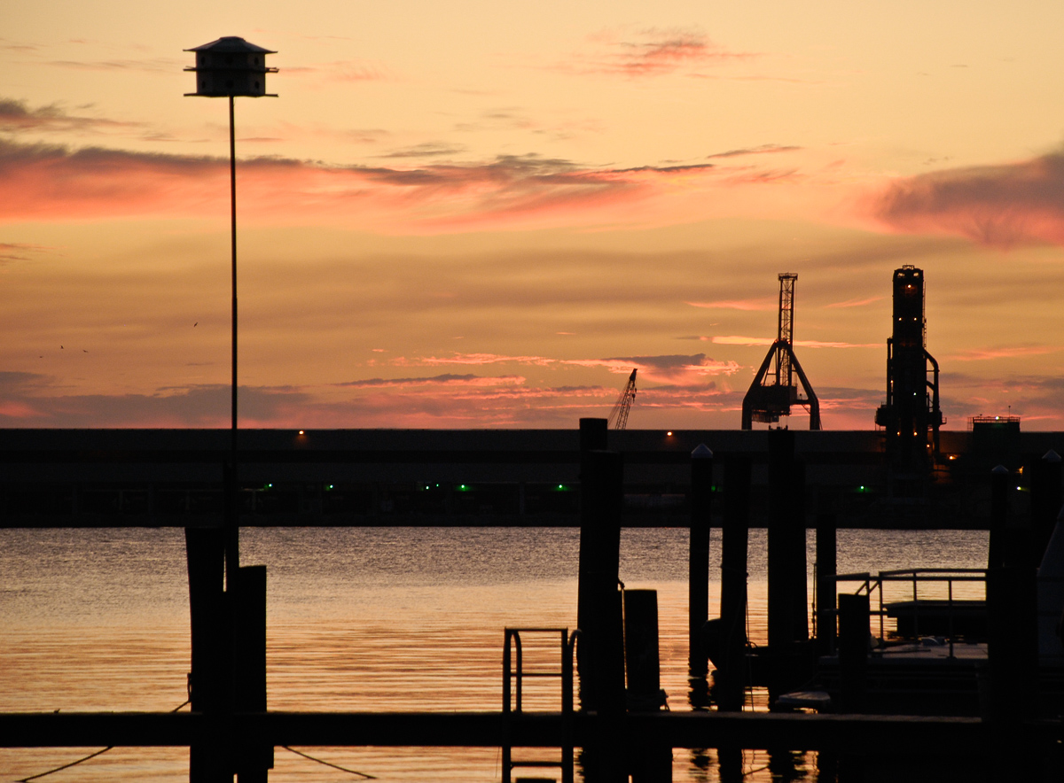 Bird house, cranes, Morehead City Port, North Carolina