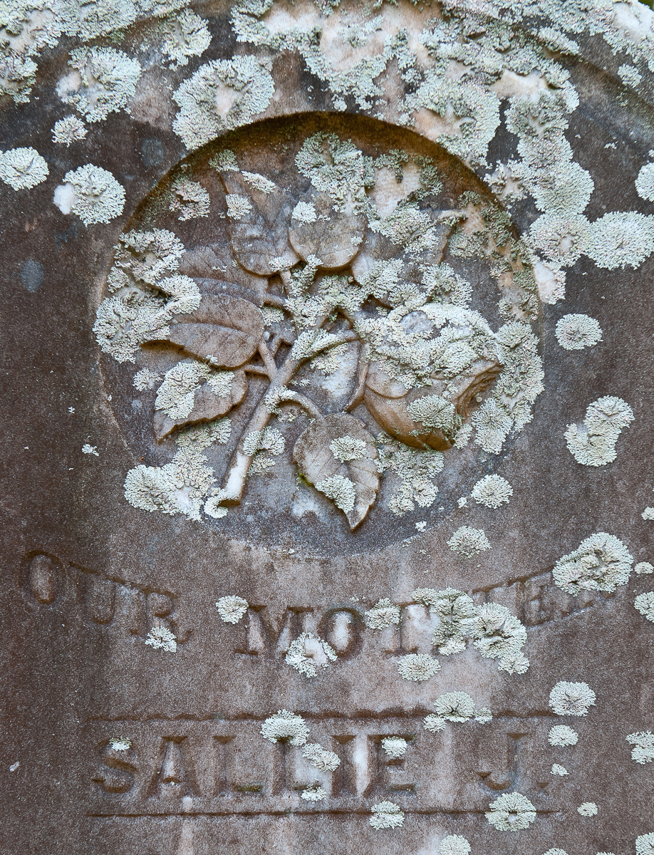 Gravestone, Beaufort, North Carolina