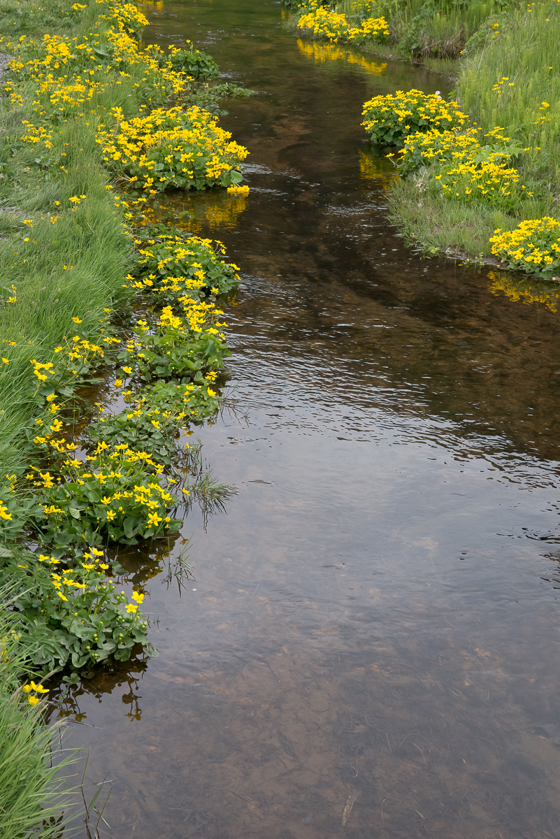 Near Seljalandsfoss