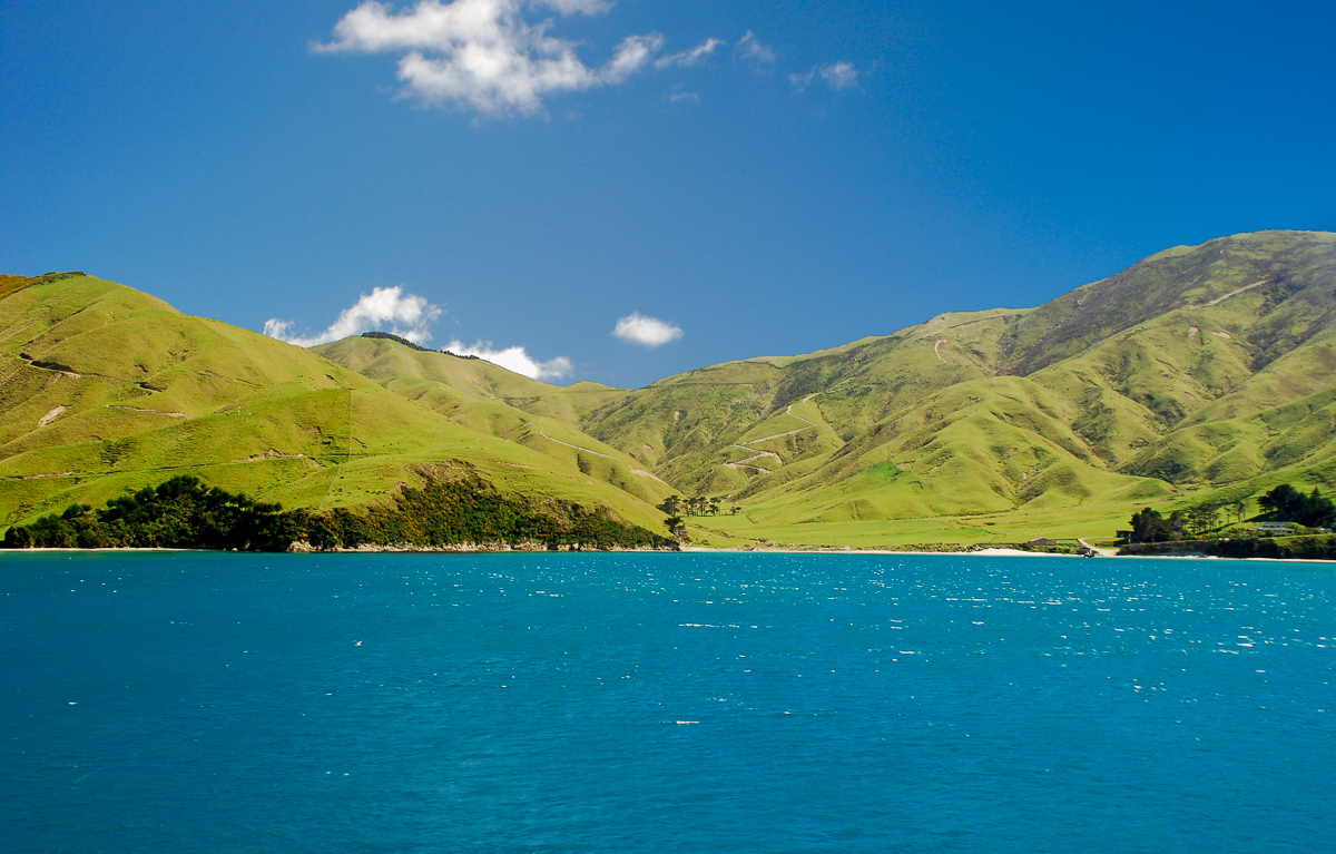 Queen Charlotte Sound, New Zealand