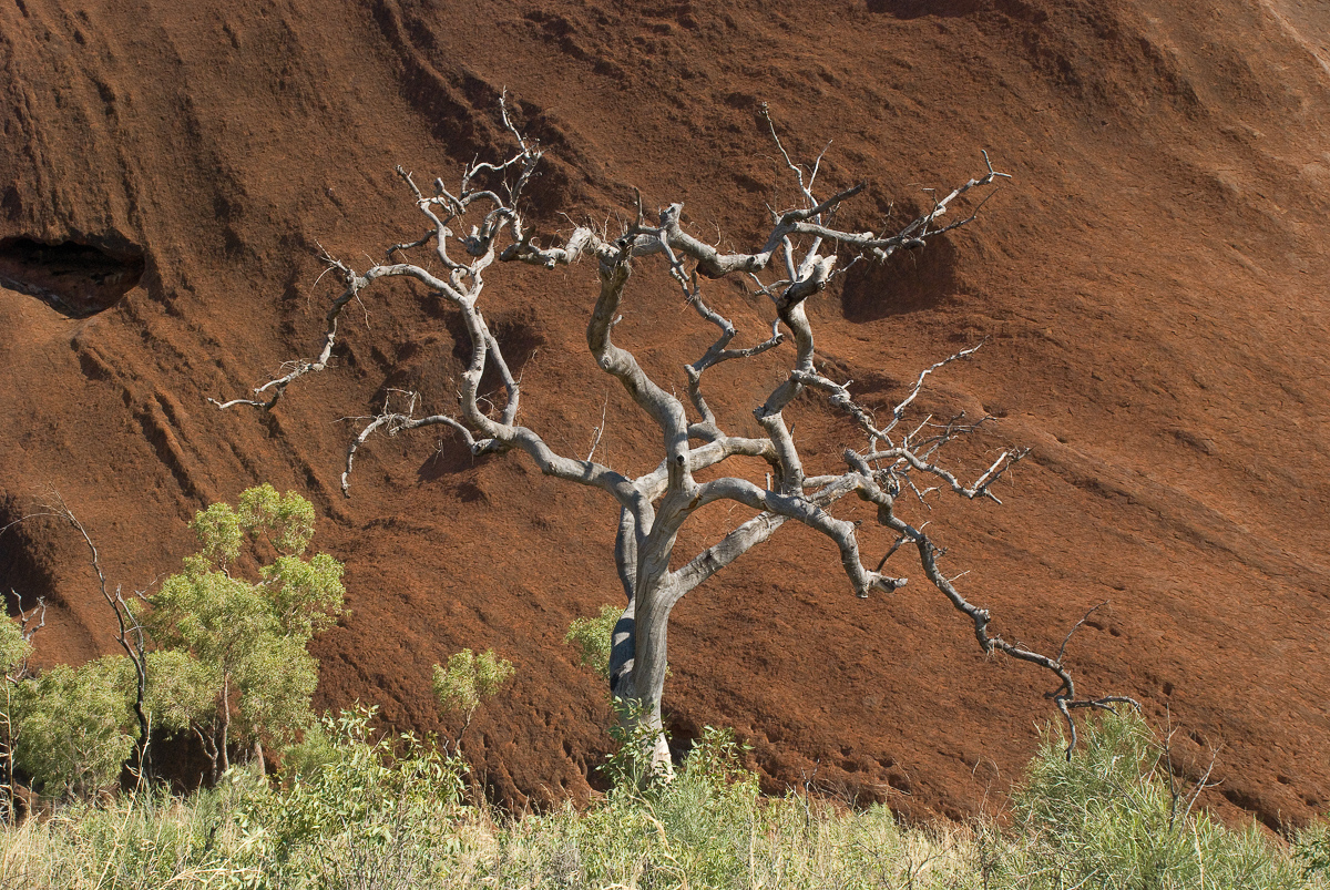 At Uluru, Australia