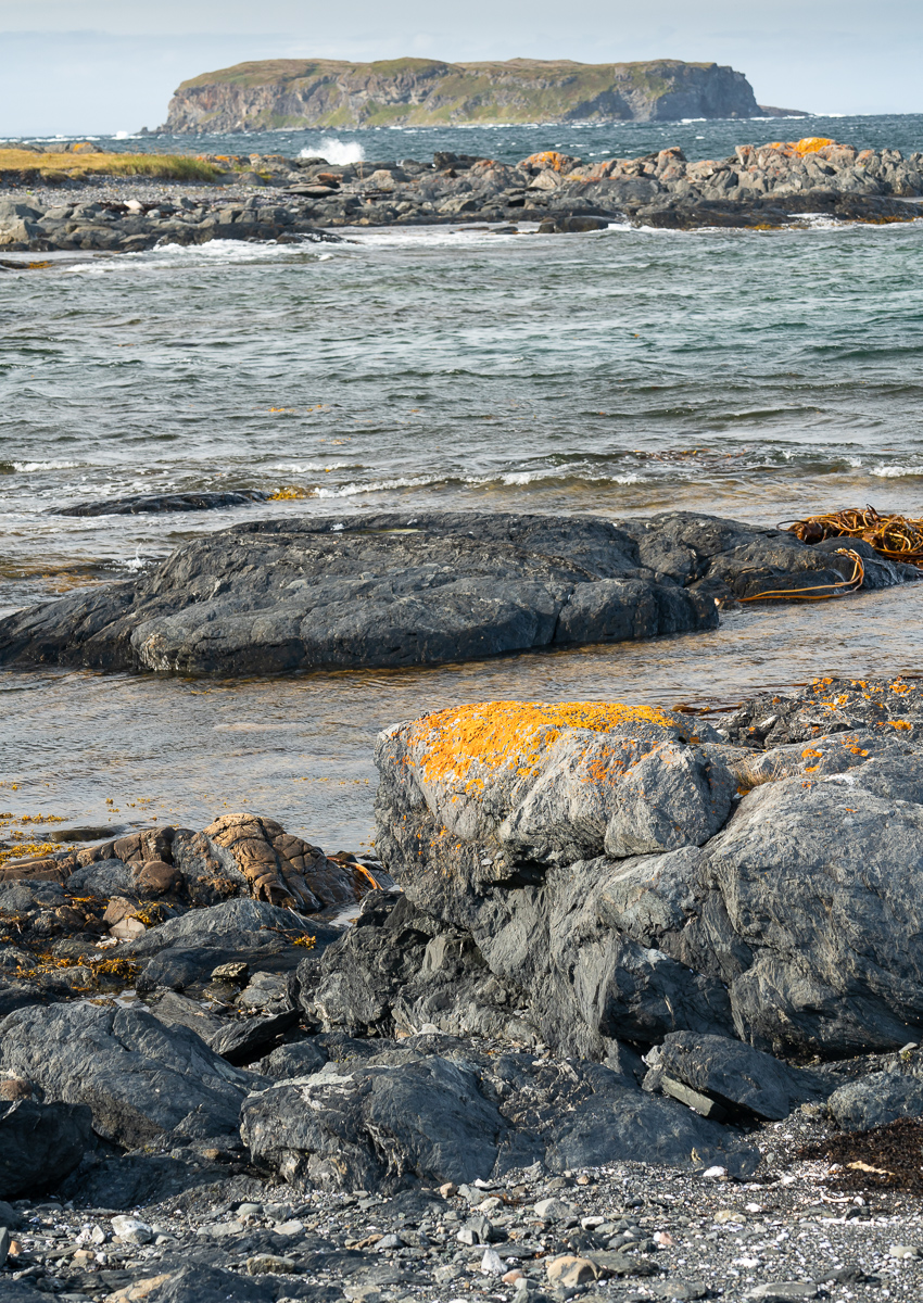 Rocky coast near L'Anse aux Meadows, Newfoundland, Canada