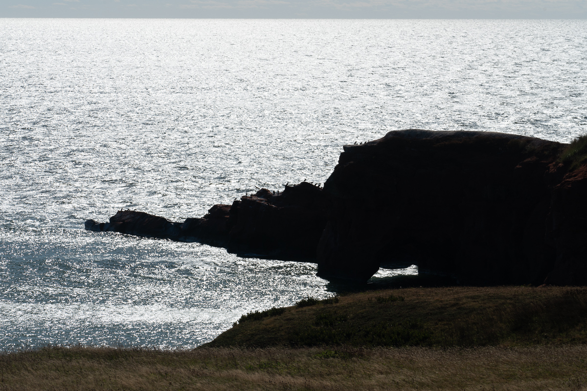 Rocky shoreline on Iles de la Madeleine, Newfoundland, Canada