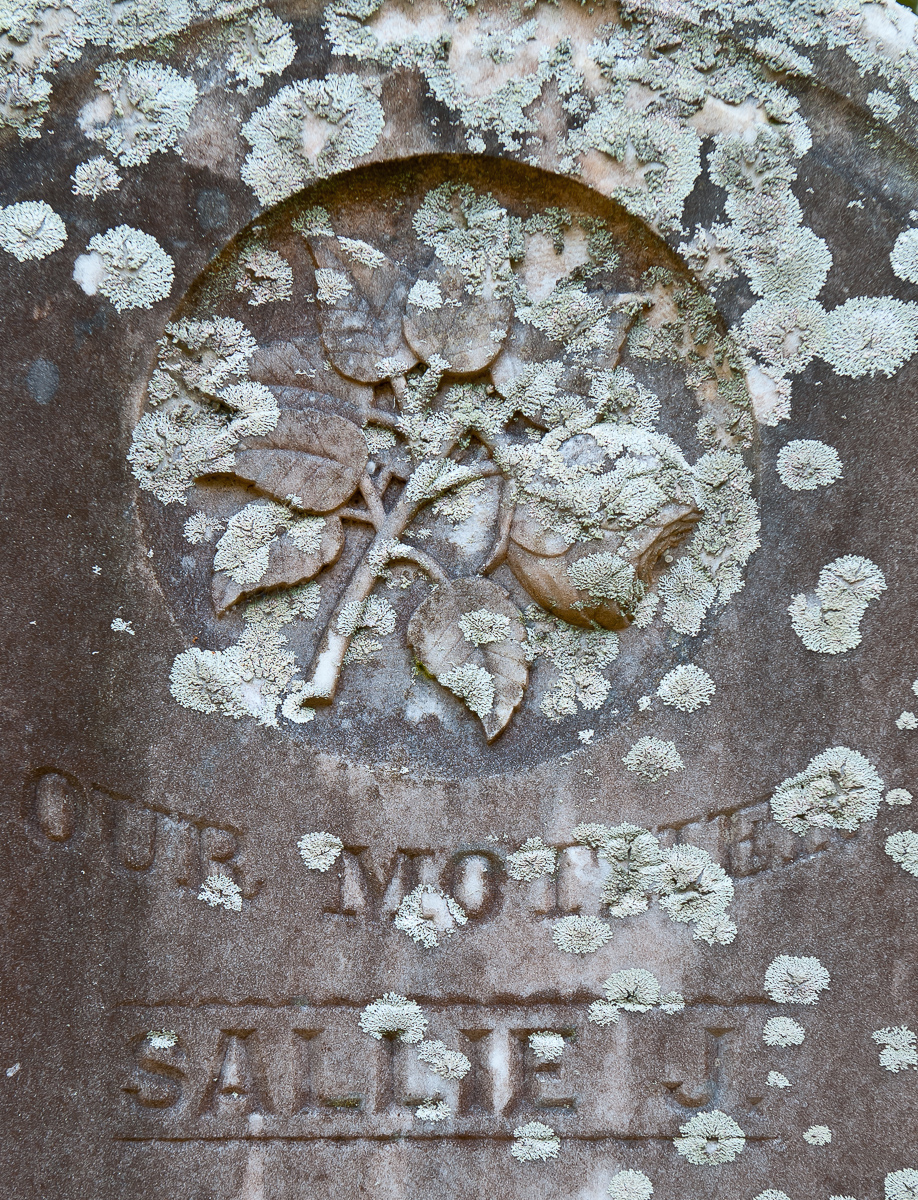Gravestone, Beaufort, North Carolina
