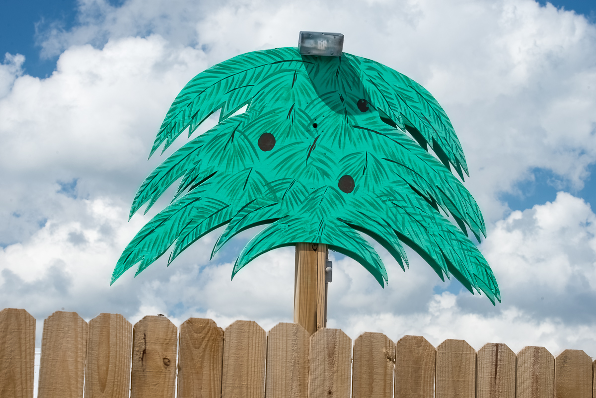 Fence and palm tree, Atlantic Beach, North Carolina