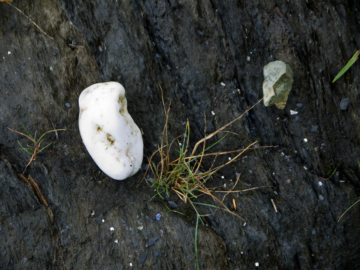 White rock, near Juneau, Alaska