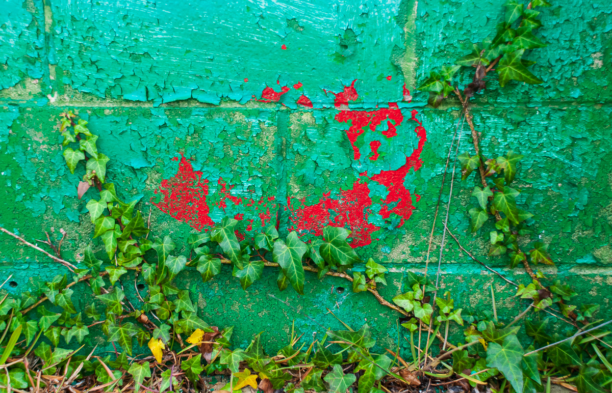 Peeling paint, vines