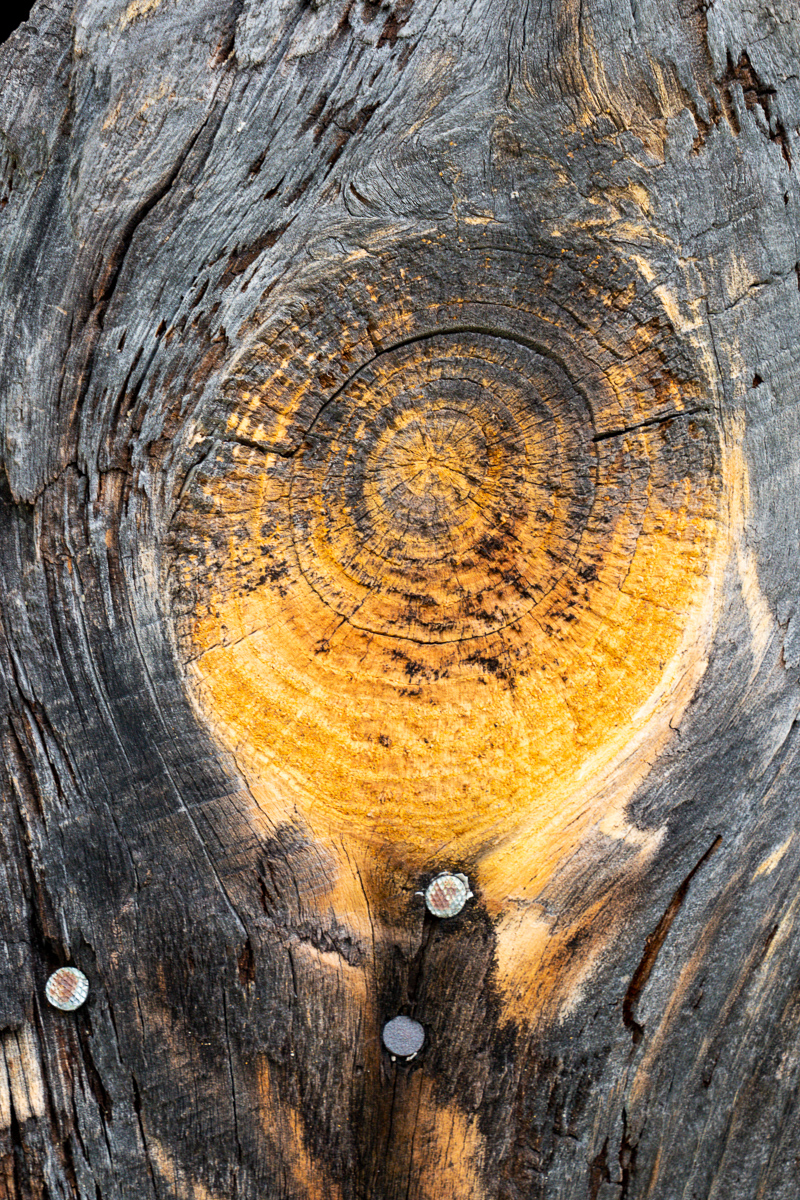 Knot in old barn wood