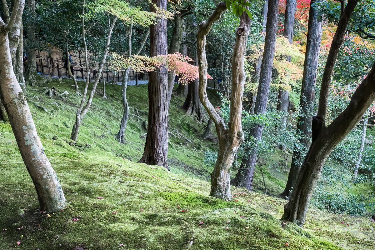 Garden, Ginkaku-ji Temple, Kyoto, Japan