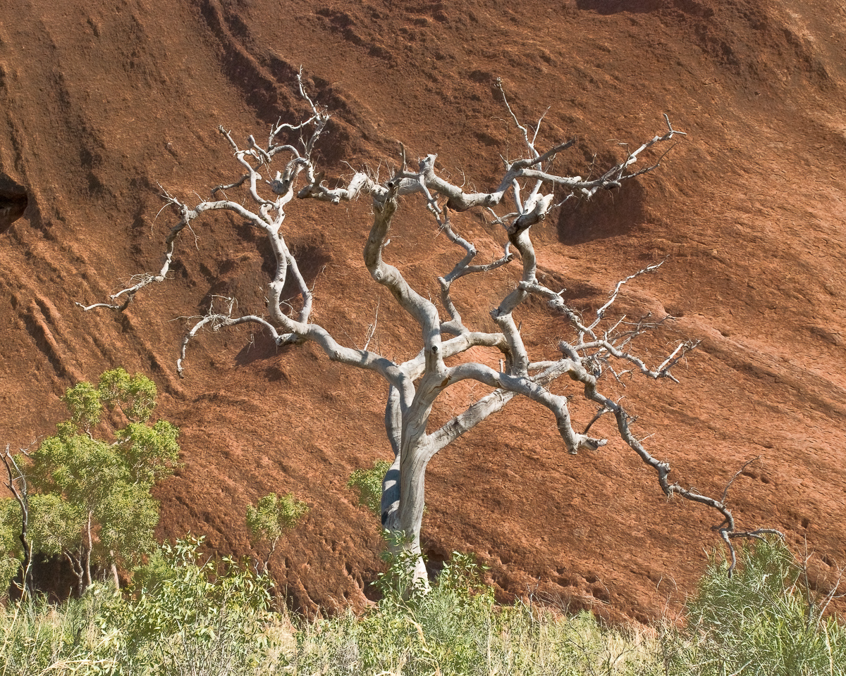 At Uluru, Australia