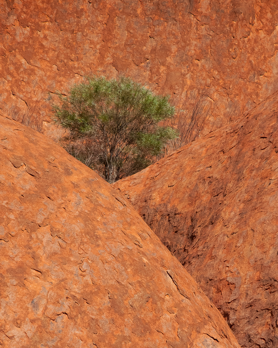 At Uluru, Australia