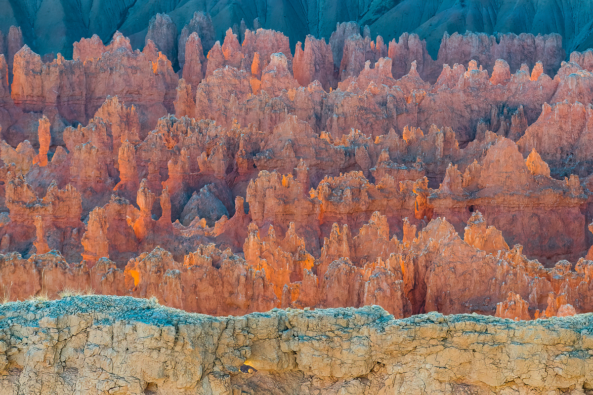Hoodoos in Bryce Canyon
